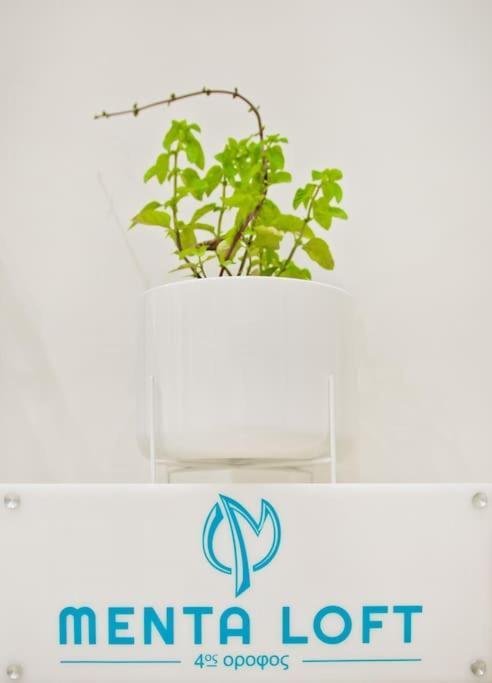 Apartment Menta Loft